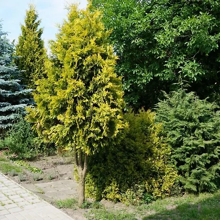 Z Klimatem Апартаменти Познань