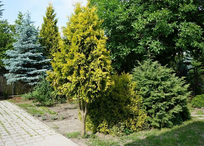 Z Klimatem Апартаменти Познань