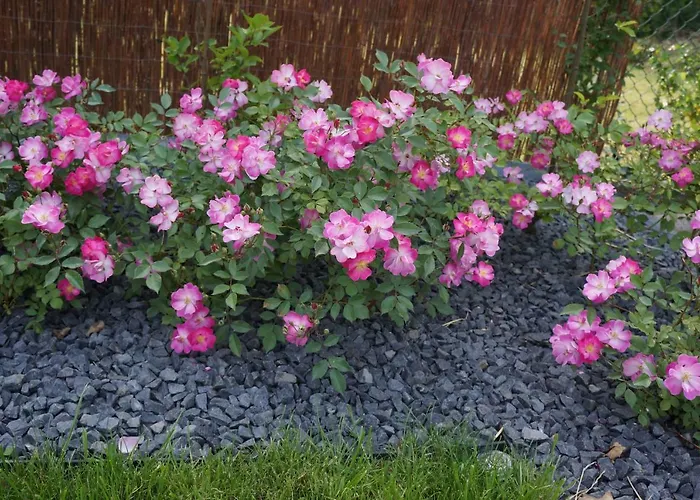 Z Klimatem Apartamento *